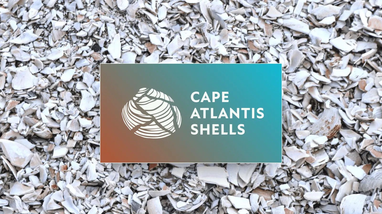 Cape Atlantis Shells — Cape Atlantis Shells LLC, 2025