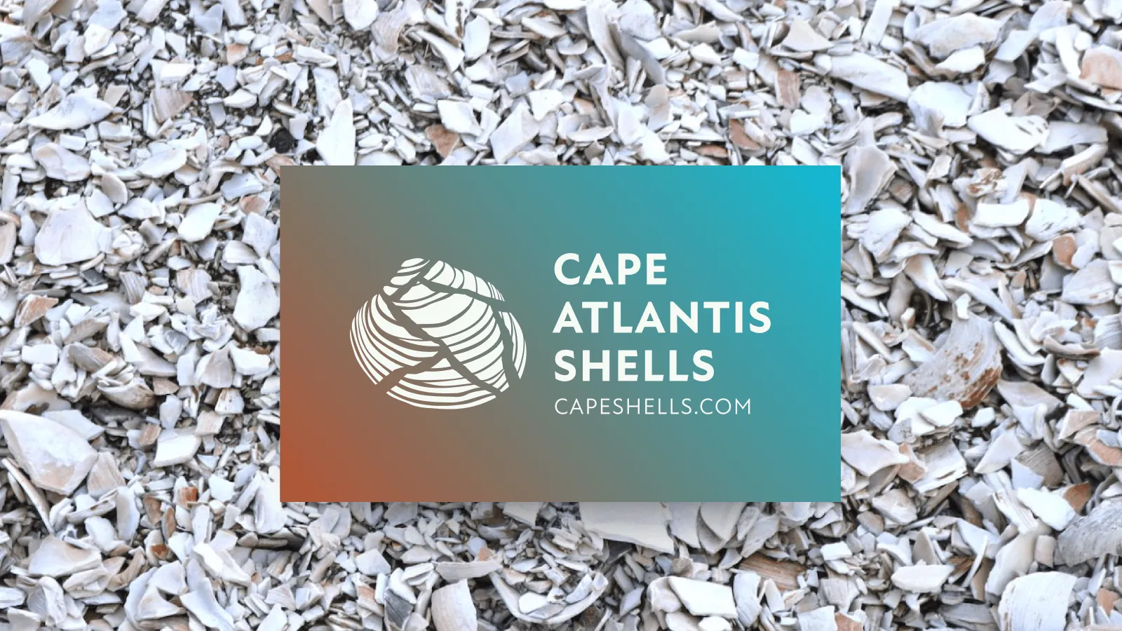Cape Atlantis Shells Brand Identity — Cape Atlantis Shells LLC