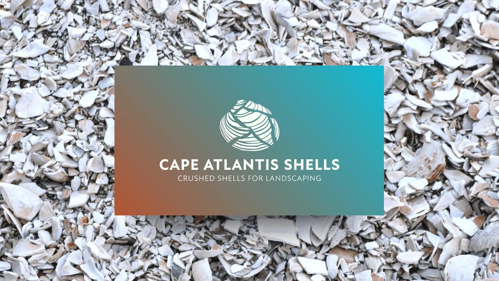 Cape Atlantis Shells Brand Identity — Cape Atlantis Shells LLC, 2024