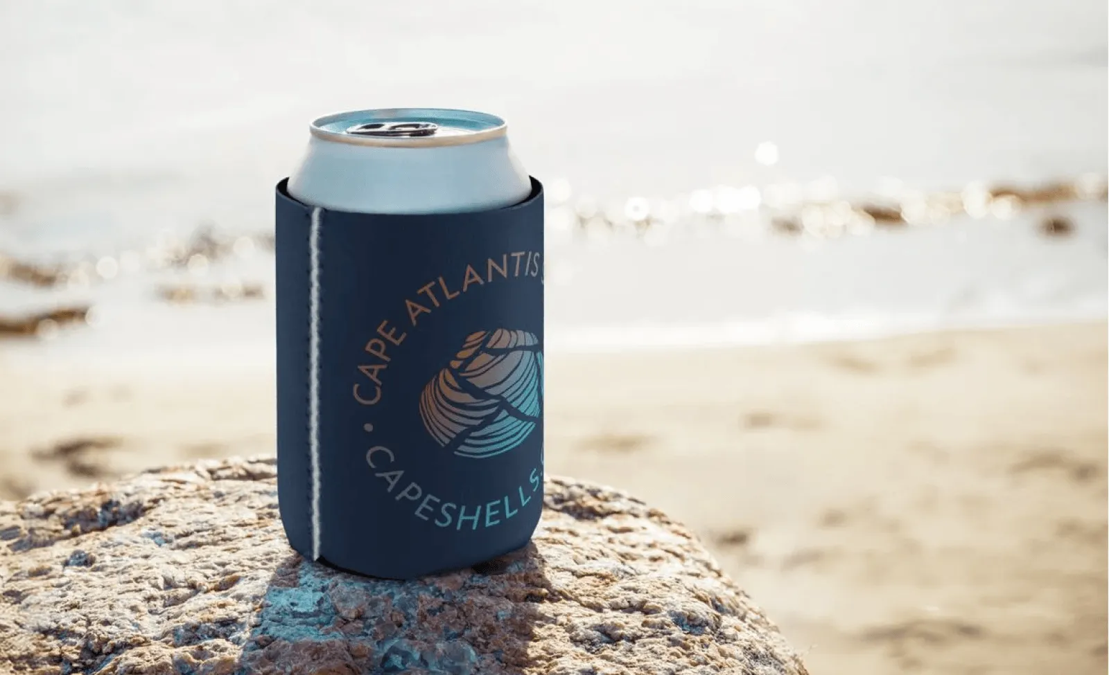Cape Atlantis Shells' Online Shop Is Live — by Tony Voorhees
