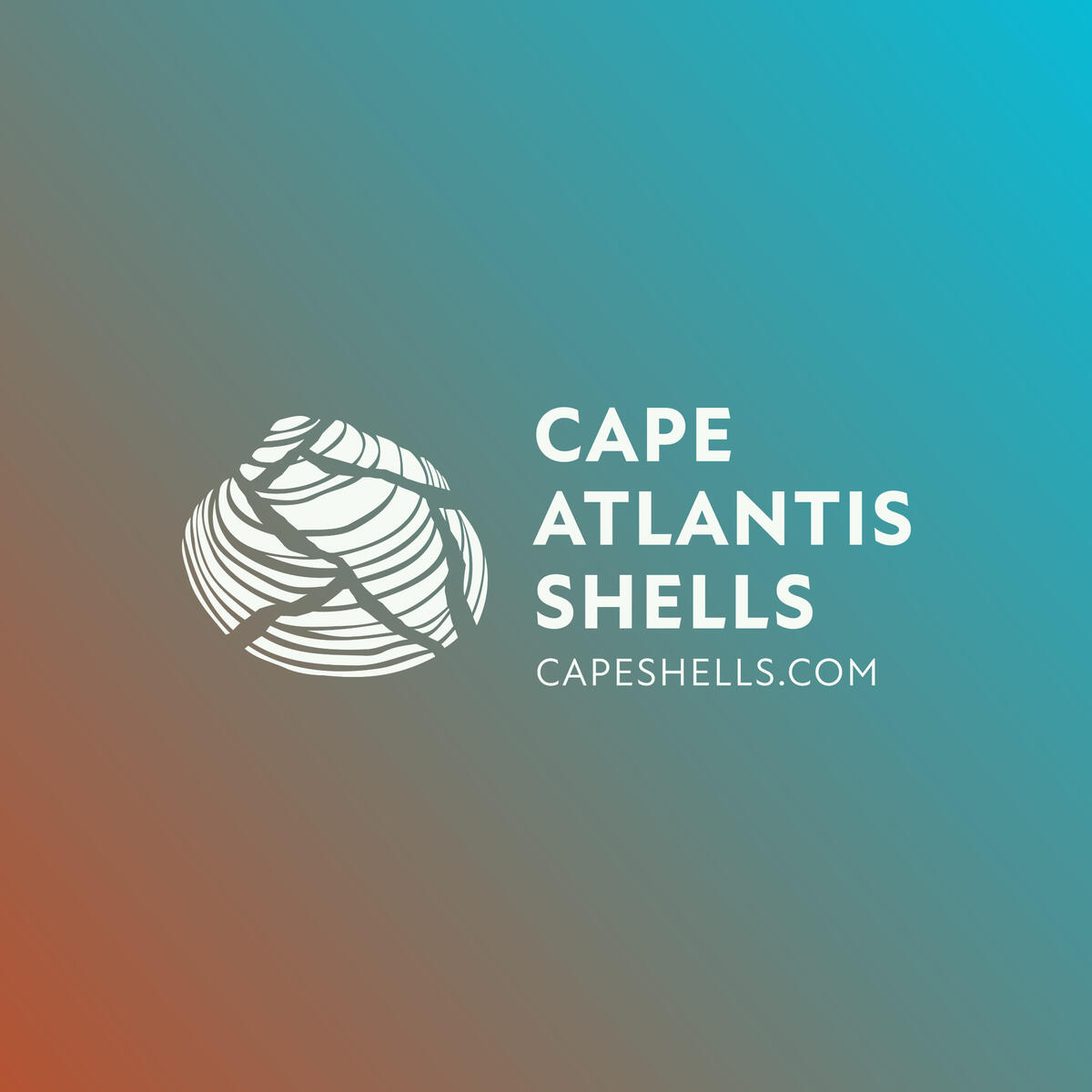 Cape Atlantis Shells